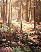 pinturas de tomas guzman